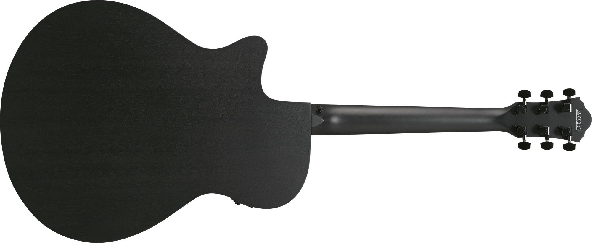 Ibanez AEG621-BOT