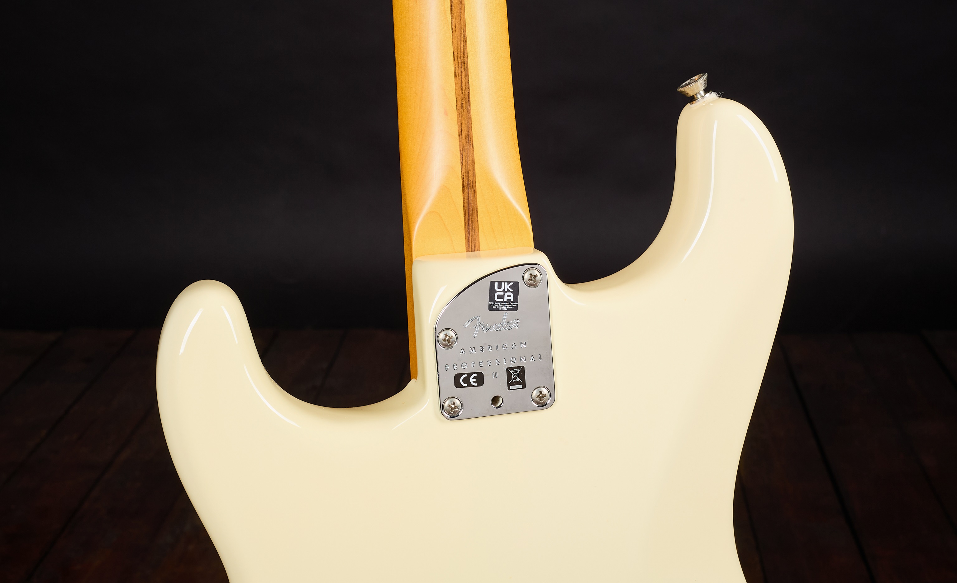 Fender 2021 American Professional II Stratocaster