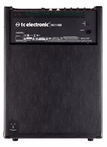 TC Electronic BG250-115 MKII - Combo-Verstärker für Bass