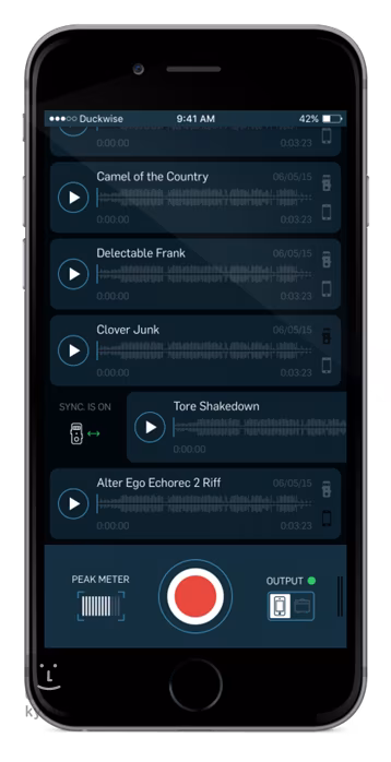 TC Electronic WireTap Riff Recorder - Recorder