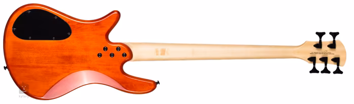 Spector Spectorcore 5 AB G (gebraucht) - Semiakustischer Bass