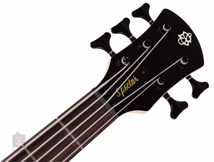 Spector Spectorcore 5 AB G (gebraucht) - Semiakustischer Bass