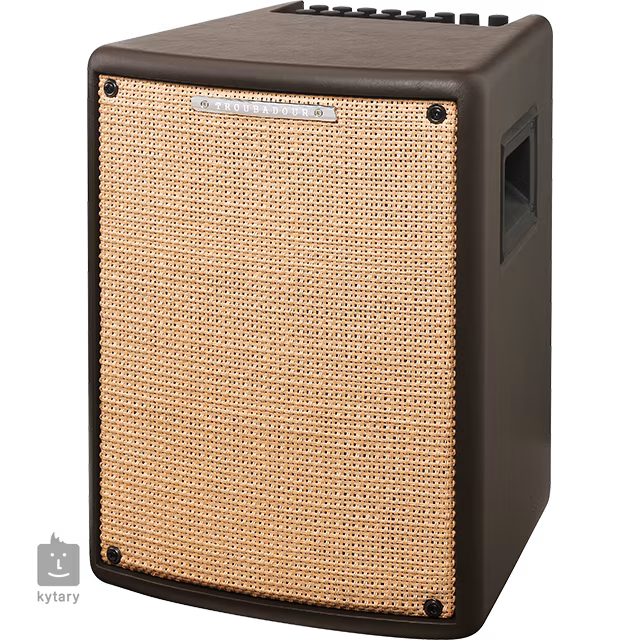 Ibanez T80II - Combo für akustische Instrumente