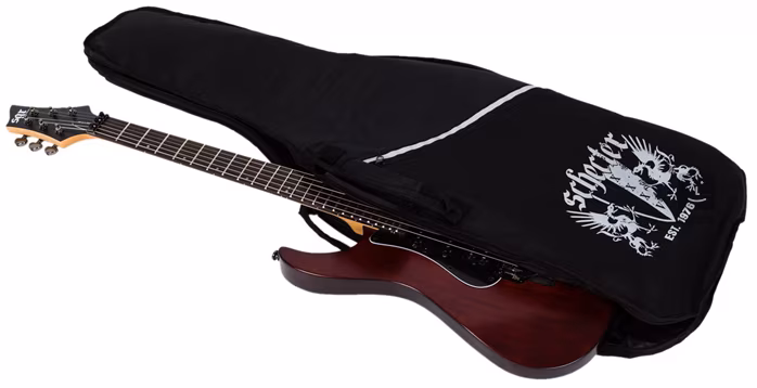 Schecter Banshee-6 FR SGR WSN - E-Gitarre