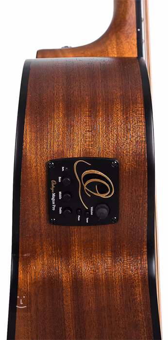 Ortega D538-4 - Elektroakustischer Bass