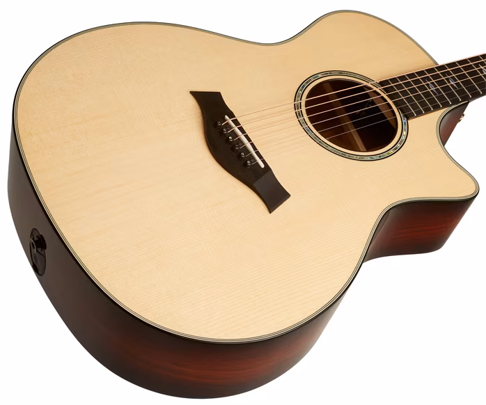 Taylor 814ce LTD Cocobolo Lutz - Elektroakustische Gitarre