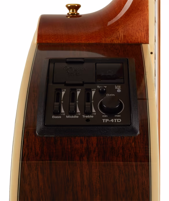 Takamine GD51CE-NAT - Elektroakustische Gitarre