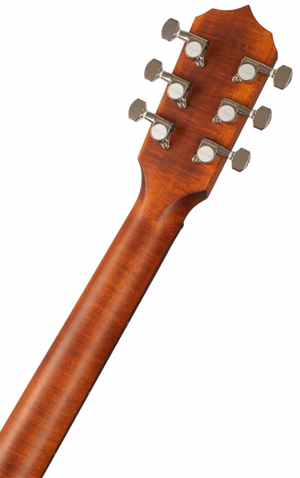 Deering Phoenix - Elektroakustisches Banjo