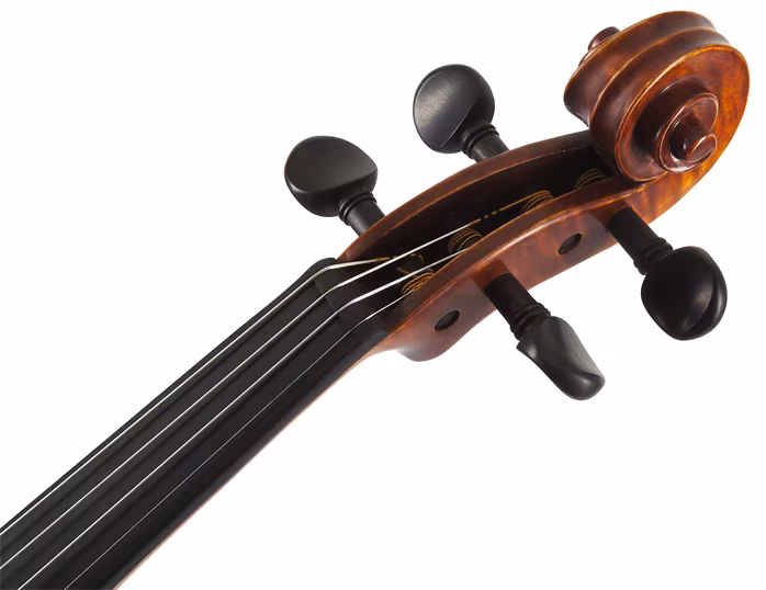 Gewa Maestro 6 vln 4/4 - Akustische Violine