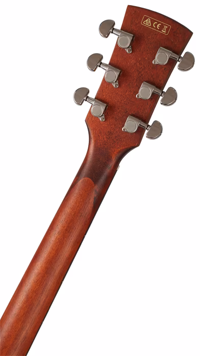 Ibanez PF10CE Natural - Elektroakustische Gitarre