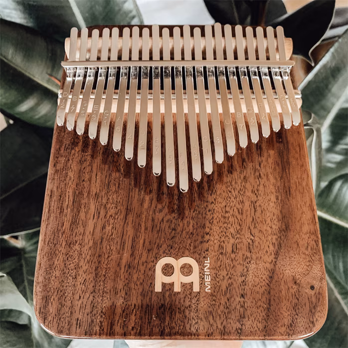 Meinl Sonic Energy KL2101S - Kalimba