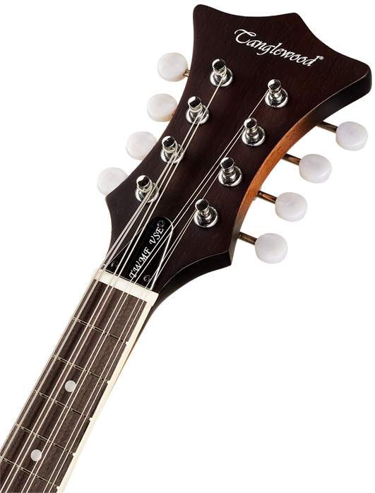 Tanglewood TWMF VS E - Elektroakustische Mandoline