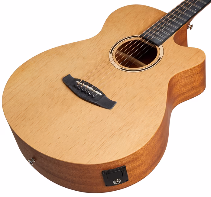 Tanglewood TWR2 SFCE - Elektroakustische Gitarre