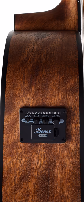 Ibanez AW5412CE Natural - Zwölfsaitige elektroakustische Gitarre