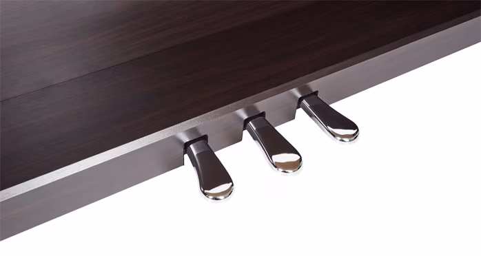 Kawai KDP 120 R - Elektronisches Piano