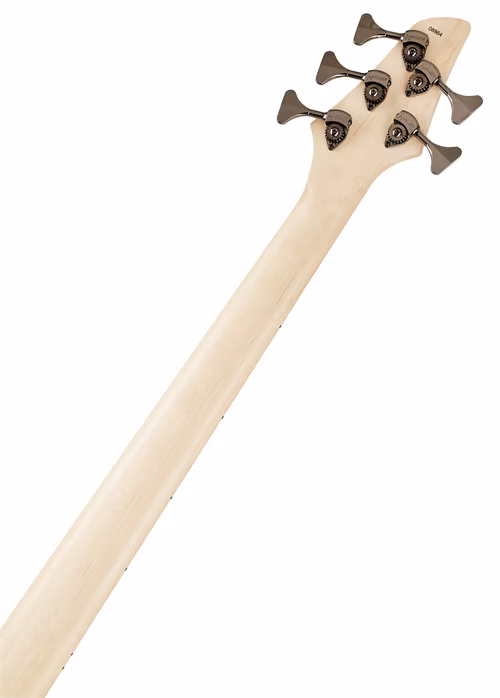 Dingwall NG3 Nolly Signature 5 MN Ferrari Green - E-Bass