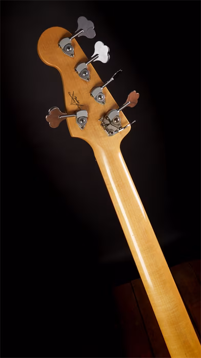 Fender Custom Shop 2003 Custom Shop Jazz Bass V Reggie Hamilton - E-Bass