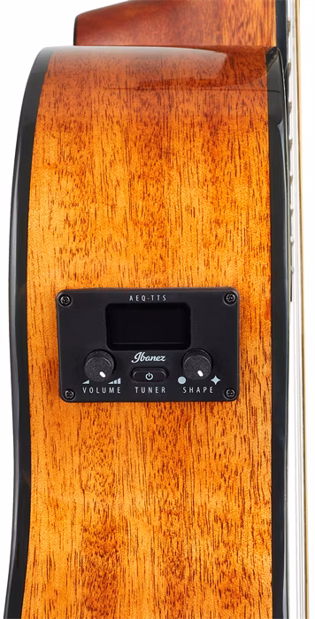 Ibanez AEG5012H Black - Zwölfsaitige elektroakustische Gitarre