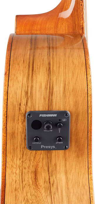 Tanglewood TW4 E VC PW - Elektroakustische Gitarre