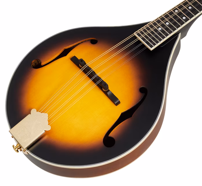 Pilgrim VPMA30 - Akustische Mandoline