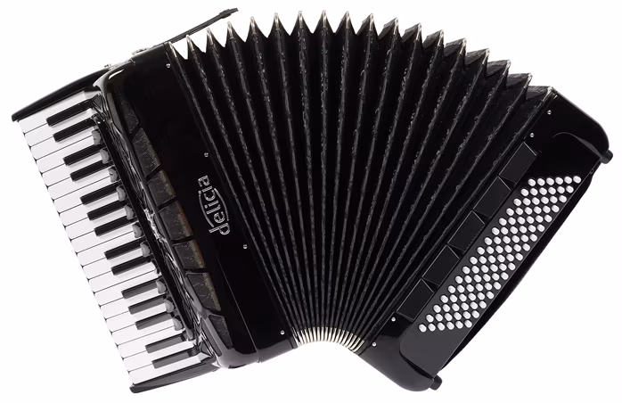 Delicia Arnaldo 96, Black - Tastenakkordeon
