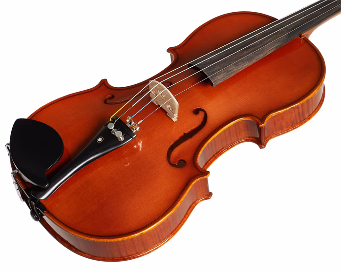 Strunal Schönbach Violin Bologna 333w 4/4 - Akustische Violine