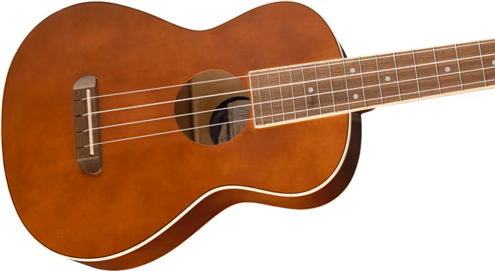 Fender Avalon Tenor Ukulele WN NA - Akustische Ukulele