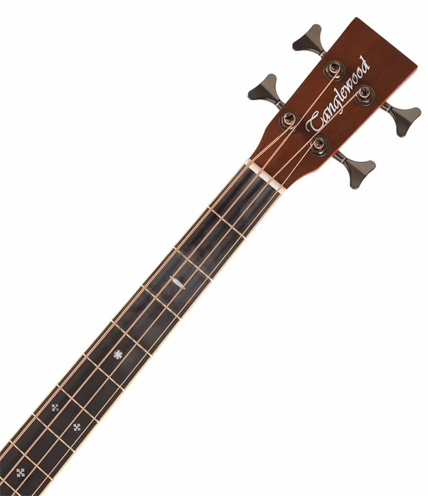 Tanglewood TRAB BW - Elektroakustischer Bass
