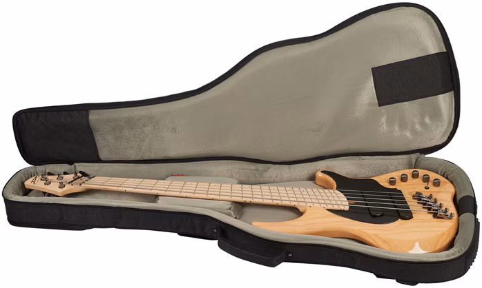 Dingwall Combustion 5 Natural - E-Bass