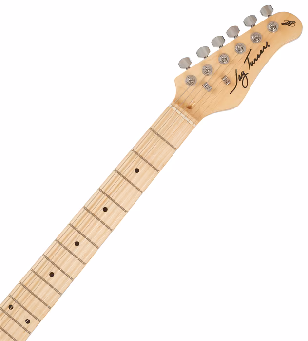 Jay Turser JT-300M-IV-M-U - E-Gitarre