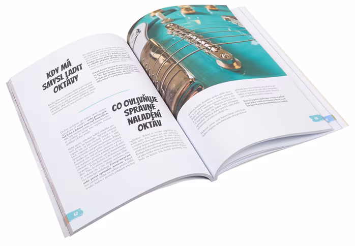 Frontman Péče o kytaru 1. díl - Zdeněk Lev - Musik-Publikationen