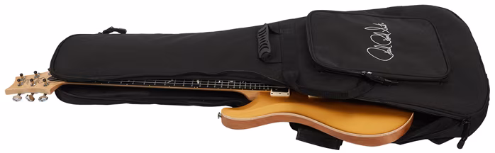 PRS CE24 Gold Top - E-Gitarre