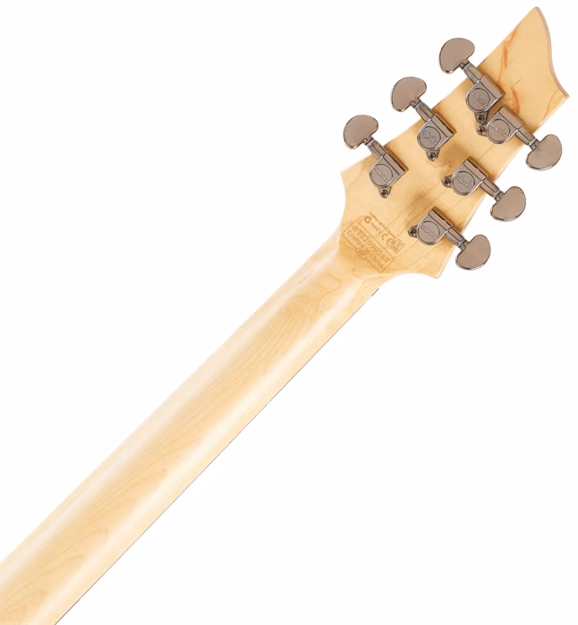 Schecter C-1 SGR BLK - E-Gitarre