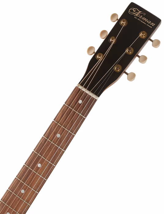 Norman B20 Natural GT Presys II - Elektroakustische Gitarre