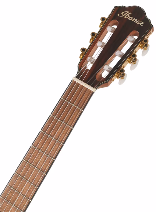 Ibanez FRH10NF Natural - Klassische elektroakustische Gitarre