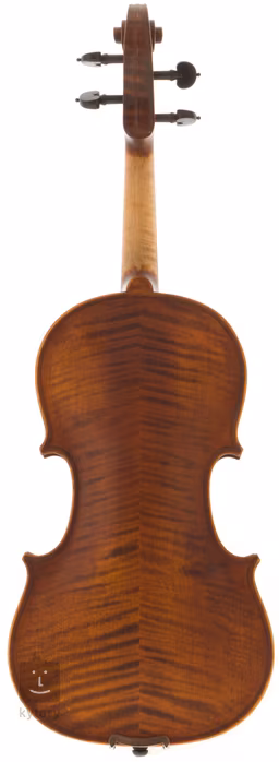 Pierre Marin DV44 - Akustische Violine