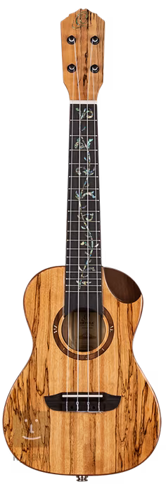 Ortega RUET-SMA - Elektroakustische Ukulele