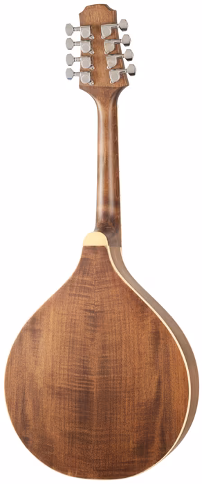 Pilgrim VPMD100 - Akustische Mandola