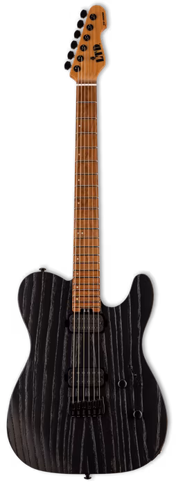 ESP LTD TE-1000 BB - E-Gitarre