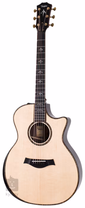 Taylor 914ce V-Class Bracing - Elektroakustische Gitarre