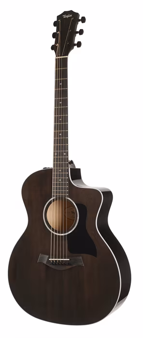 Taylor 214ce DLX Ltd Trans Grey Top - Elektroakustische Gitarre