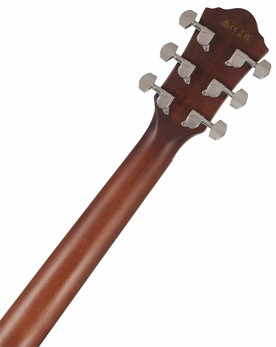 Ibanez AEG70 Purple Iris Burst - Elektroakustische Gitarre