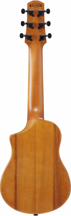 Ibanez AUP10N Natural - Akustische Gitarren-Ukulele