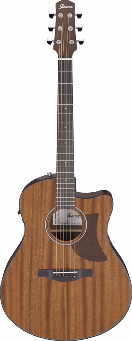 Ibanez AAM54CE Natural - Elektroakustische Gitarre