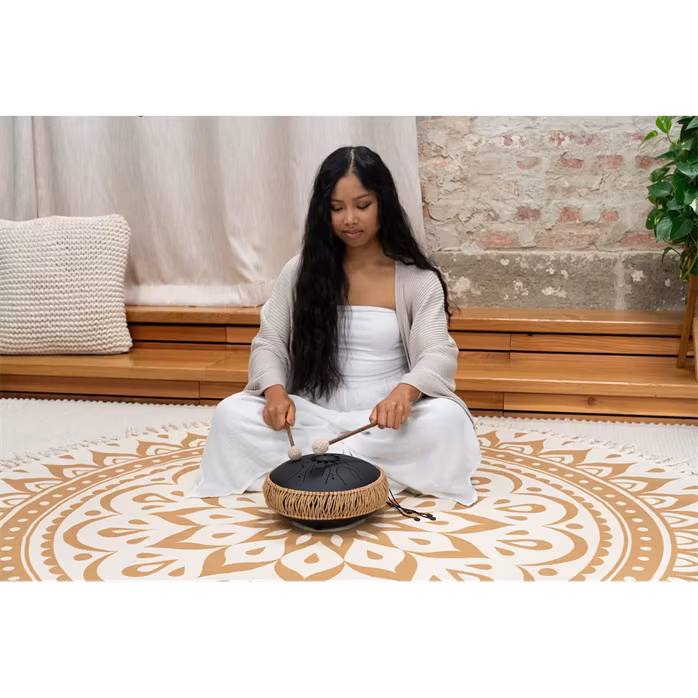 Meinl Sonic Energy 10" Octave Steel Tongue Drum B Minor - Tonque Drum