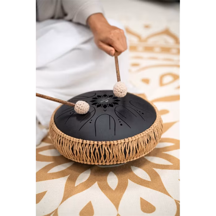 Meinl Sonic Energy 10" Octave Steel Tongue Drum B Minor - Tonque Drum