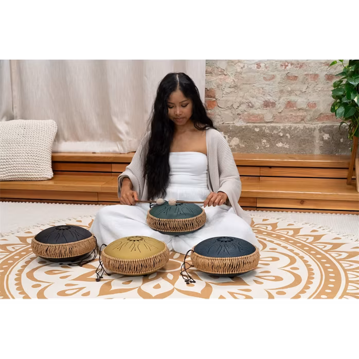 Meinl Sonic Energy 10" Octave Steel Tongue Drum F# Minor - Tonque Drum