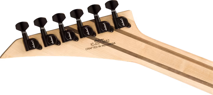 Jackson Pro Plus Dinky Arch Top EB EGR - E-Gitarre