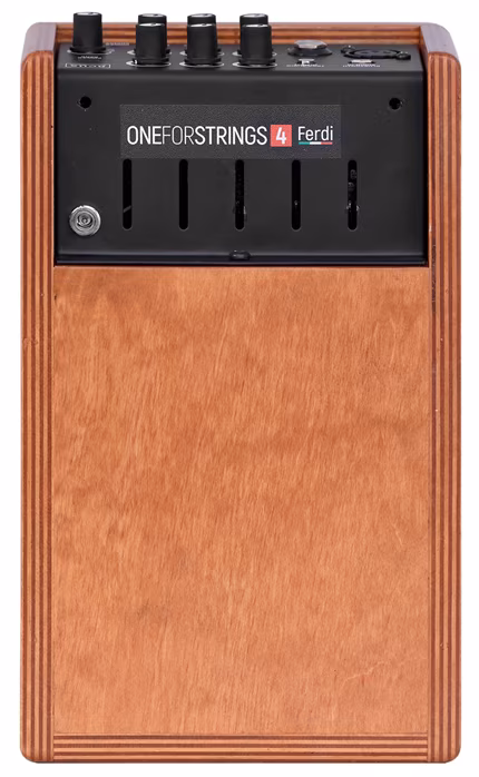 Acus One ForStrings 4 Ferdi Wood - Combo für akustische Instrumente