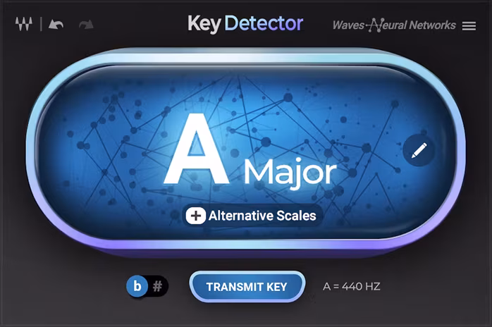WAVES Key Detector - Software